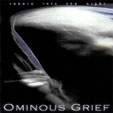 Ominous Grief : Reborn into the Light
